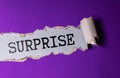 SURPRISE word written under torn paper. Royalty Free Stock Photo