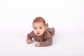 Surprised baby boy in brown clothes crawling on white Royalty Free Stock Photo