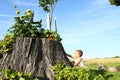 Surprised baby boy climbing stump with flowers Royalty Free Stock Photo