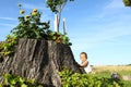 Surprised baby boy climbing stump with flowers Royalty Free Stock Photo