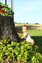 Surprised baby boy climbing stump with flowers Royalty Free Stock Photo