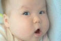 Surprised baby Royalty Free Stock Photo