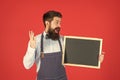 Surprised bearded man in barber apron hold school blackboard red background copy space, enrollment