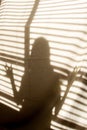 Shadow of young child against a cloth background in front of blinds;