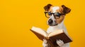 Surprised dog in glasses holding opened book, on yellow background. AI Generative Royalty Free Stock Photo