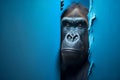 Surprised gorilla peeking from corner on blue background. Generative AI