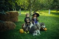 Surprised group little zombie in Halloween costume eating treat, calaverita sweets candles. jack-o-lantern. Funny group Royalty Free Stock Photo