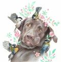 Surprised Labrador and little birds. Realistic drawing of a dog and titmice isolated on a white background. Sketch colored pencils