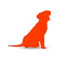 Surprised orange dog, silhouette on white background. Royalty Free Stock Photo
