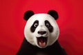 Surprised Panda With Big Eyes On Red Background