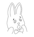 Surprised rabbit with bow. Emotion expression concept