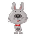 Surprised Rabbit. An enthusiastic gray rabbit decorated with a red bow