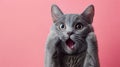 Surprised shocked cat face with paws on head on pink background with copy space. AI Generative Royalty Free Stock Photo
