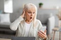 Surprised shocked mature woman using cell phone Royalty Free Stock Photo