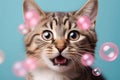 A surprised tabby cat with wide eyes amidst floating pink bubbles against a bright blue background