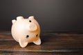 Surprised upside down piggy bank. Stunning interest rates on deposits. Savings. Opportunities and prospects. High income and Royalty Free Stock Photo