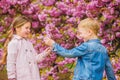 Surprising her. Kids enjoying pink cherry blossom. Romantic babies. Giving all flowers to her. Couple kids on flowers of