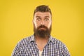 Surprising news. Man bearded hipster wondering face yellow background close up. Guy surprised face expression. Hipster