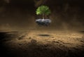 Environment, Environmentalism, Tree, Desert, Nature, Surreal Royalty Free Stock Photo