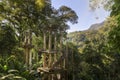 Surreal architecture, fantastic landscape, beautiful old castle, beautiful structures, jungle in the surreal botanical garden of