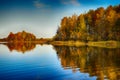 Surreal autumn of yellow trees with reflection on lake