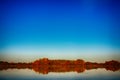 Surreal autumn of yellow trees with reflection on lake Royalty Free Stock Photo