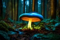 The surreal beauty of a glowing bioluminescent mushroom emerging from the forest floor, illuminating its surroundings