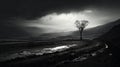 Surreal Black And White Photograph: Lone Tree On Dark Stormy Road