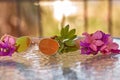 Surreal bright pink bougainvillea flowers in an ice cream cone and sunglasses. Summer vacation background. Copy space Royalty Free Stock Photo