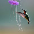 A surreal combination of a hummingbird and a jellyfish, with delicate wings and trailing tentacles3, Generative AI