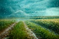 Surreal Countryside Scene with Dreamy Meadow and Starry Night Sky Overlay
