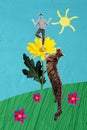 Surreal creative image collage of calm guy on summer safari climb high yellow gerbera plant hide from huge feline