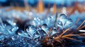 Surreal 3d Landscape: Icy Droplets On Grass - Macro Shot