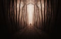 Surreal dark forest with man walking in fog