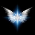 Angel`s star Royalty Free Stock Photo