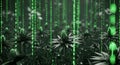 Digital Matrix Garden Futuristic Flowers and Green Code Rain Royalty Free Stock Photo