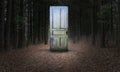 Surreal Door, Woods, Path, Forest Royalty Free Stock Photo