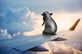 Surreal Elephant, Business Travel, Plane Wing