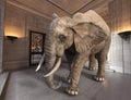 Surreal Elephant, Hotel Lobby, Room