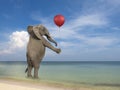 Surreal Elephant, Sea, Ocean, Beach, Nature, Balloon Royalty Free Stock Photo