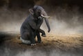 Surreal Elephant Think, Ideas, Innovation Royalty Free Stock Photo