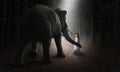 Surreal Elephant, Girl, Friends, Love, Nature Royalty Free Stock Photo