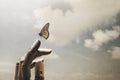 Surreal encounter between a wooden hand and a colourful butterfly