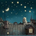 Surreal fairy tale art background, cat on roof, night sky with m Royalty Free Stock Photo
