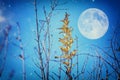 Surreal fantasy concept - full moon with stars glitter in night skies background. Royalty Free Stock Photo