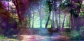 Magical fairy forest with ethereal light