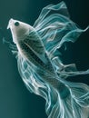 Surreal floating fish with flowing, ethereal fins