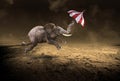 Surreal Flying Elephant, Desolate Desert Royalty Free Stock Photo