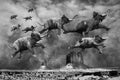 Surreal Flying Elephants, Elephant, Desert Royalty Free Stock Photo