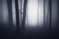 Surreal forest with fog trough trees at night